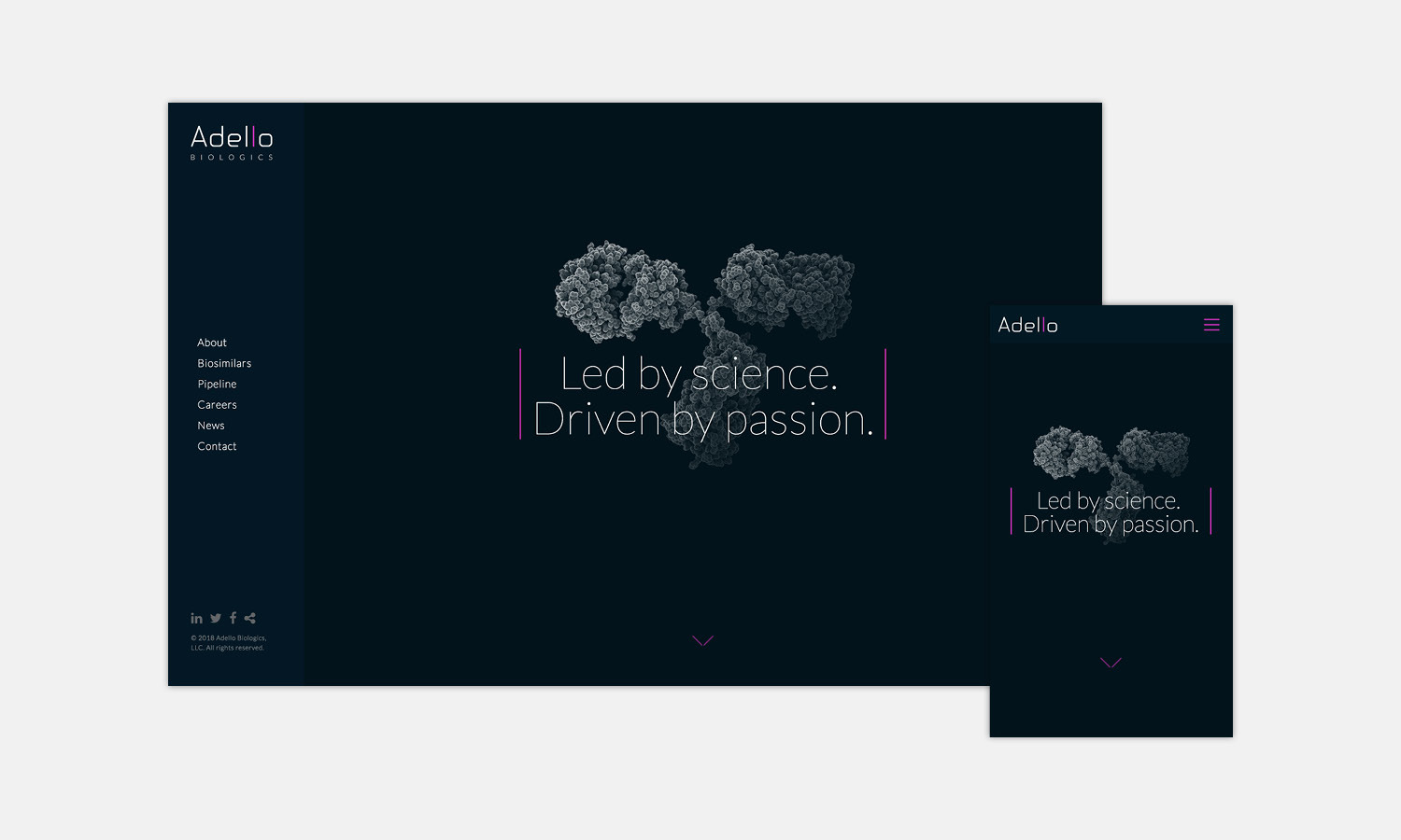 Multiple Inc, Adello Biologics