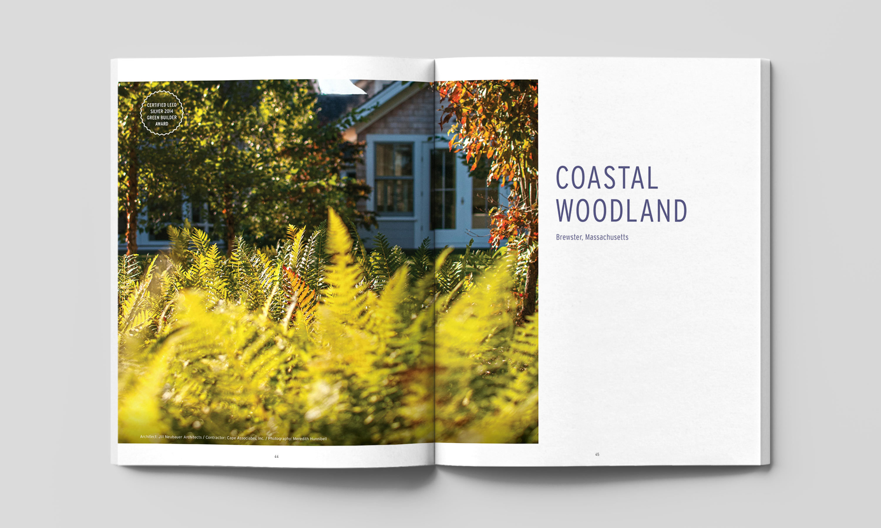 Multiple Inc, Bernice Wahler Landscapes