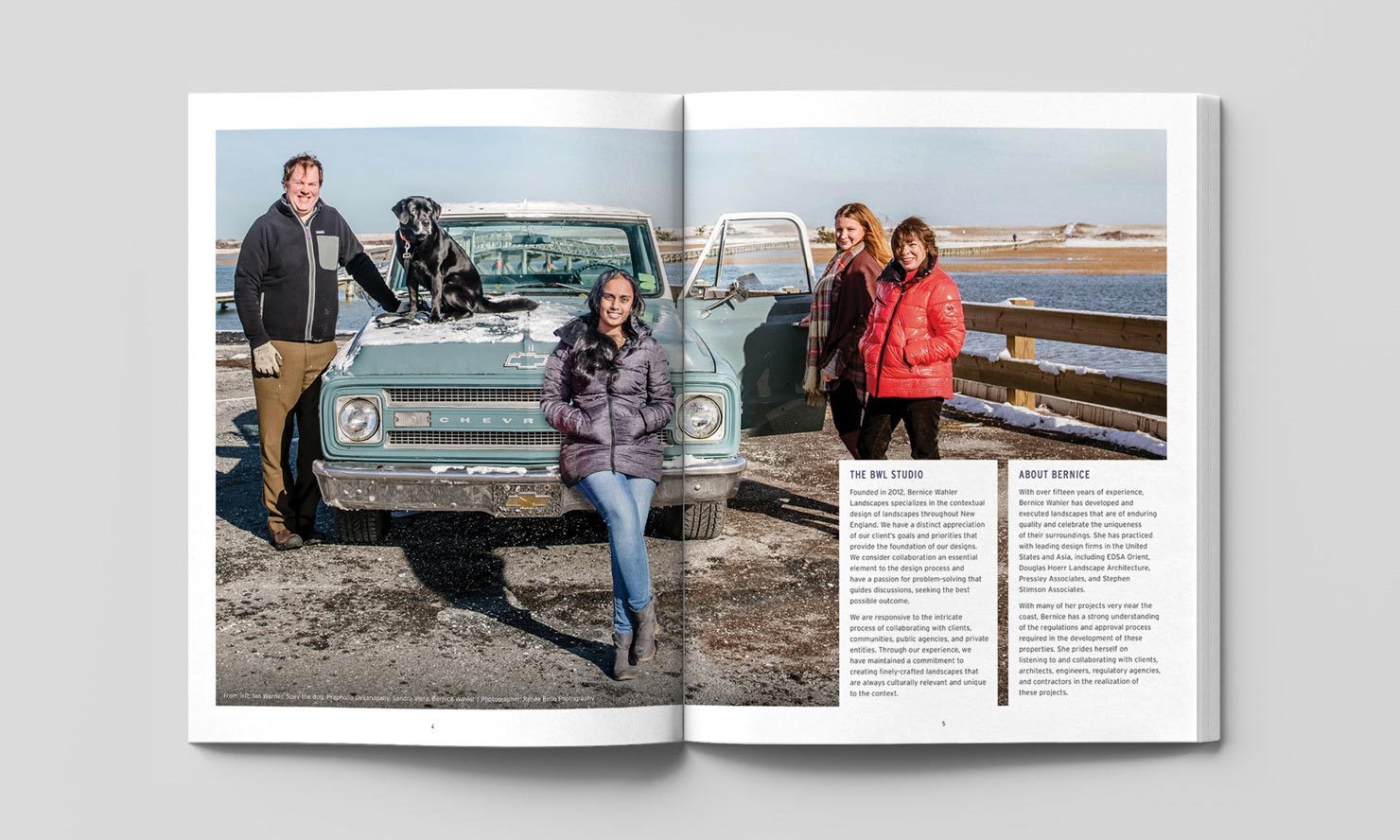 Multiple Inc, Bernice Wahler Landscapes