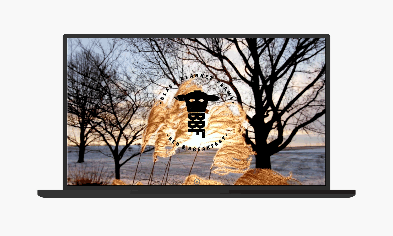 Multiple Inc, Black Blanket Farms