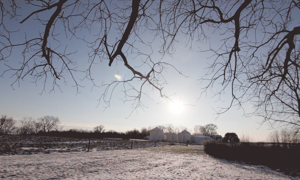 Multiple Inc, Black Blanket Farms