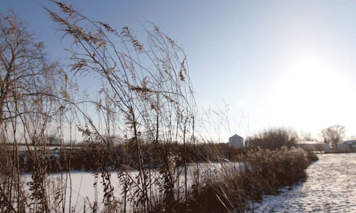 Multiple Inc, Black Blanket Farms