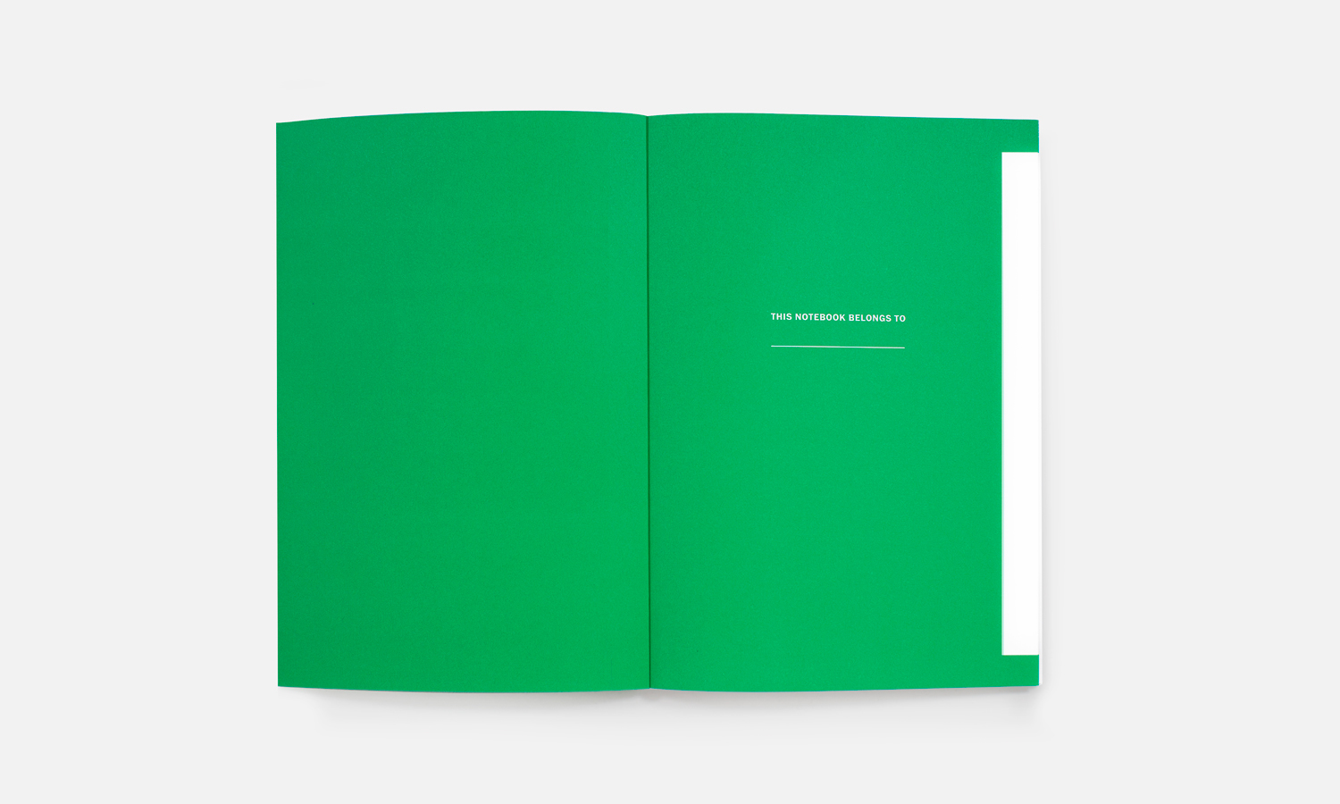 Multiple Inc, Columbia College Chicago