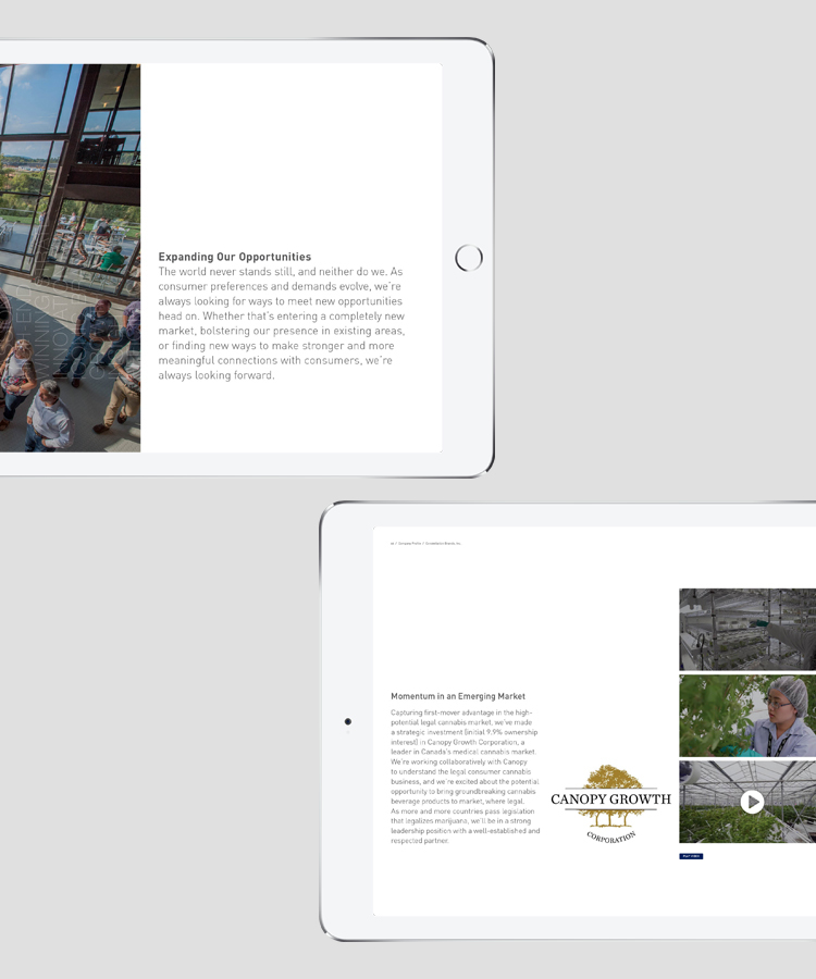 Multiple Inc, Constellation Brands, Raising Glass