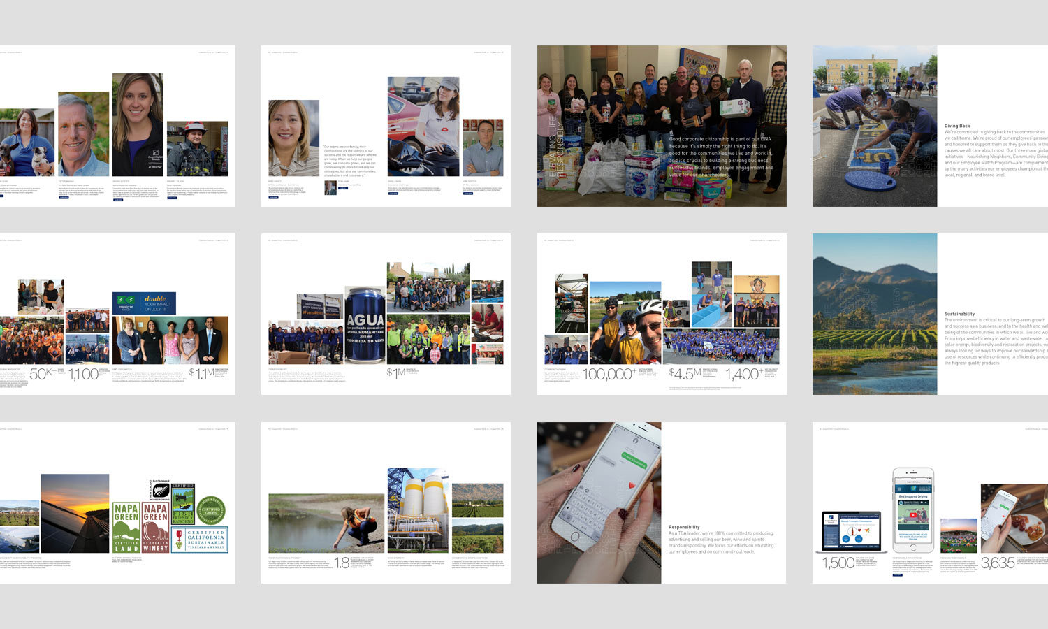 Multiple Inc, Constellation Brands, Raising Glass