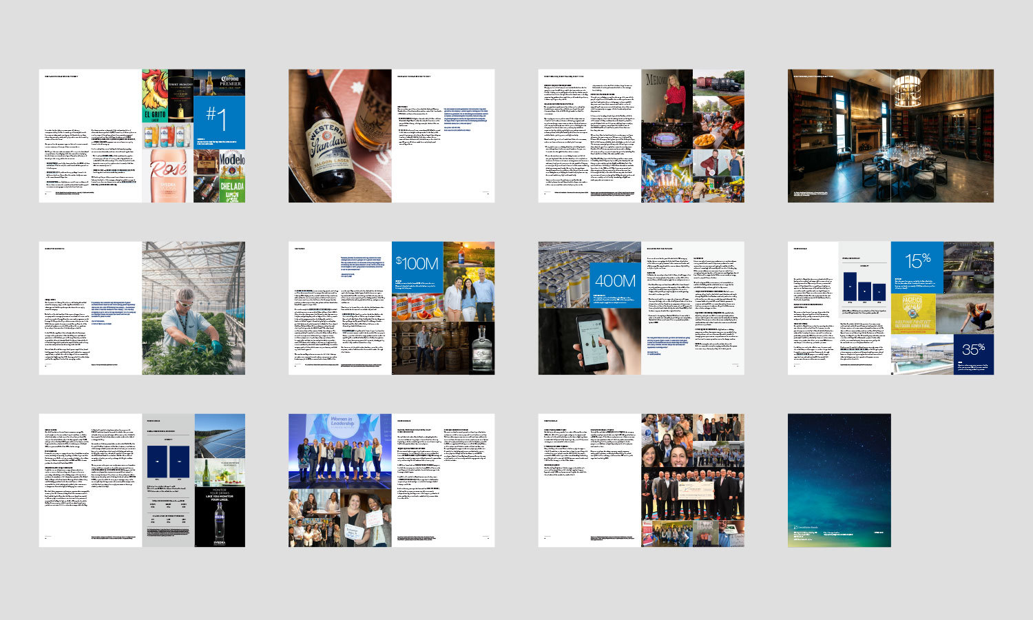 Multiple Inc, Constellation Brands