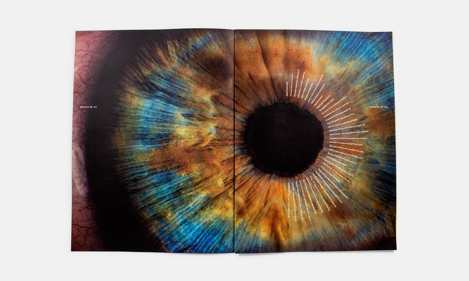 Multiple Inc, X No. 2 Fun