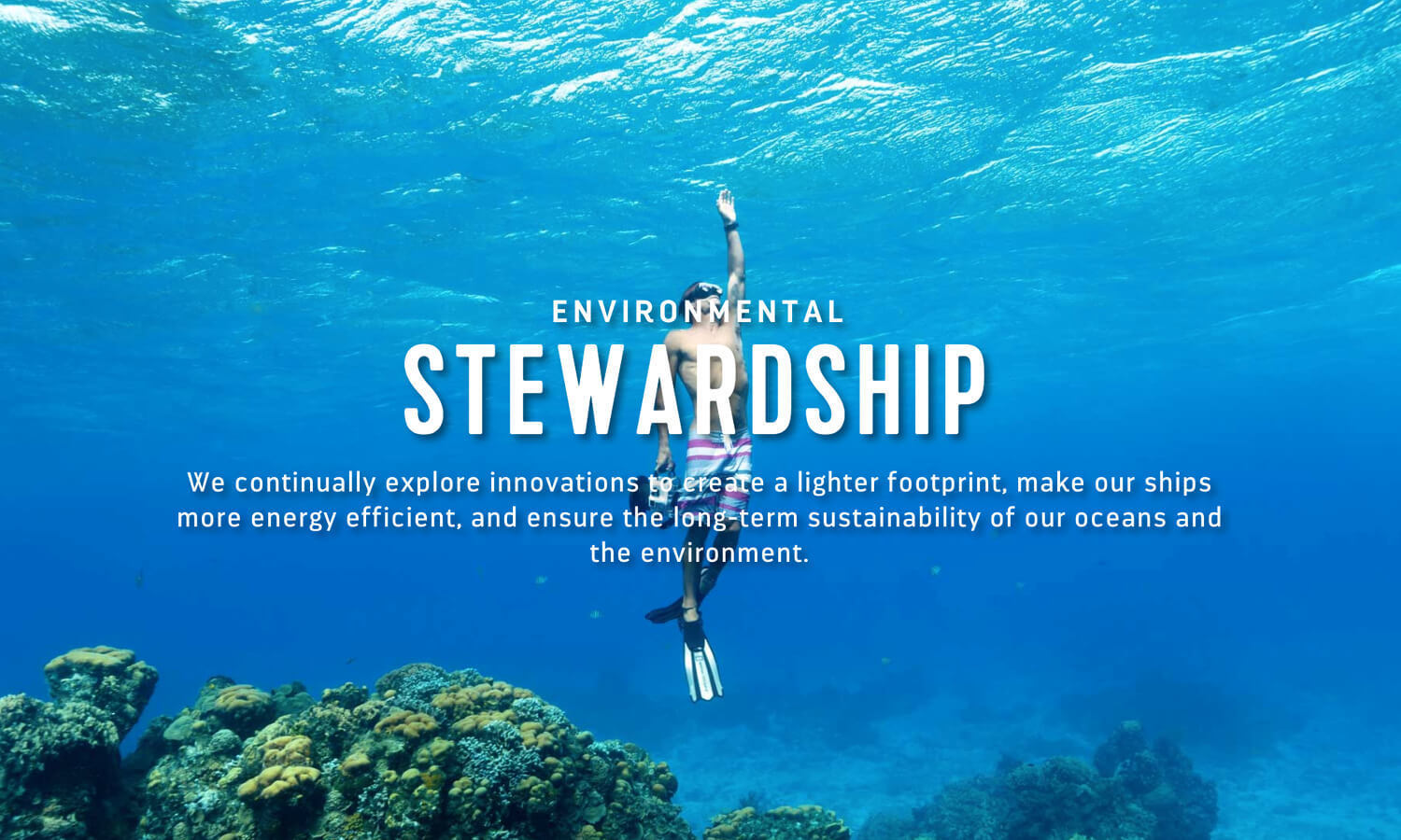 Multiple Inc, Royal Caribbean, Corporate Communication