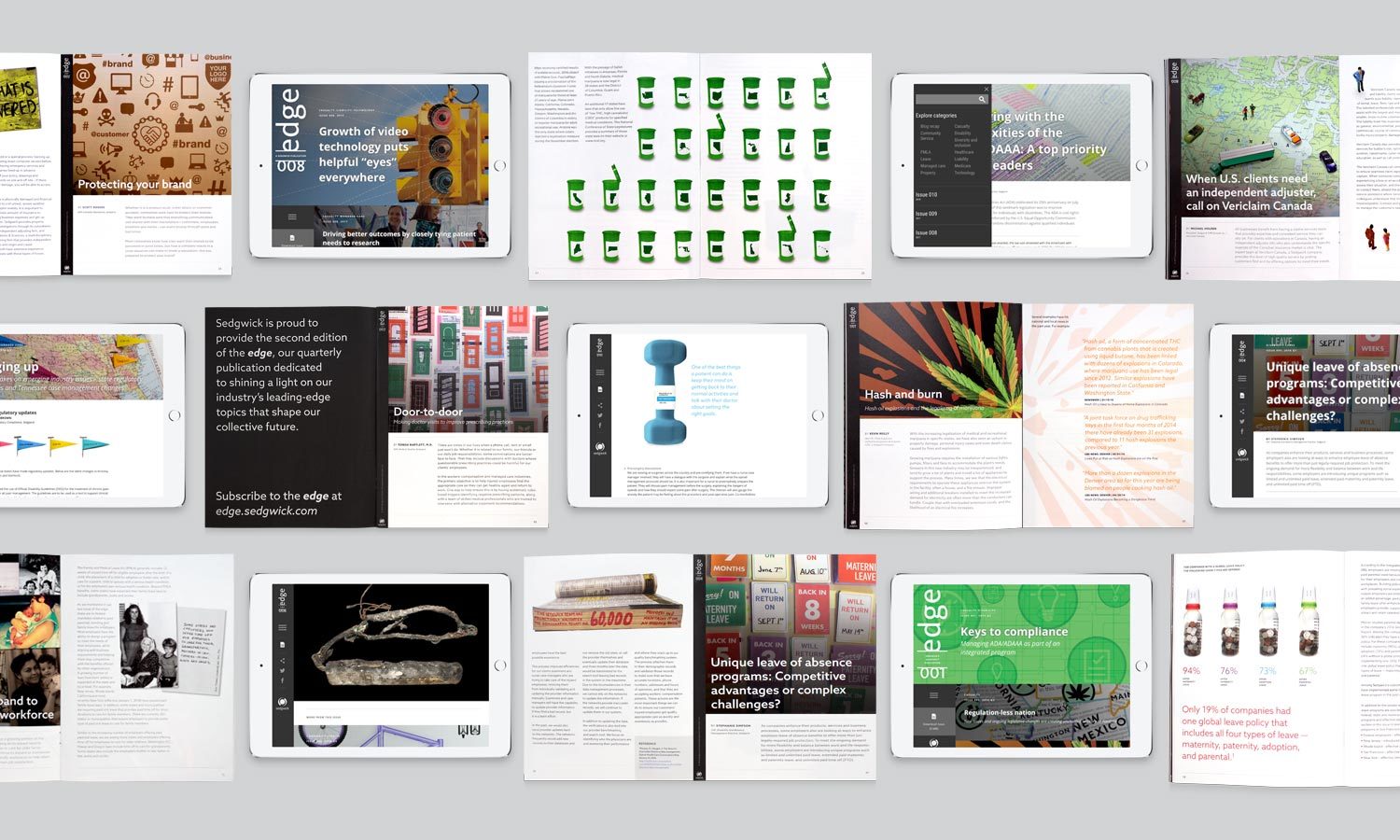 Multiple Inc, Sedgwick Edge