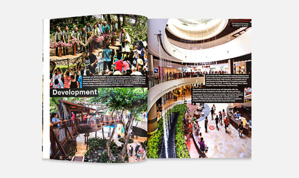 Multiple Inc, Taubman, 2016 Annual Report