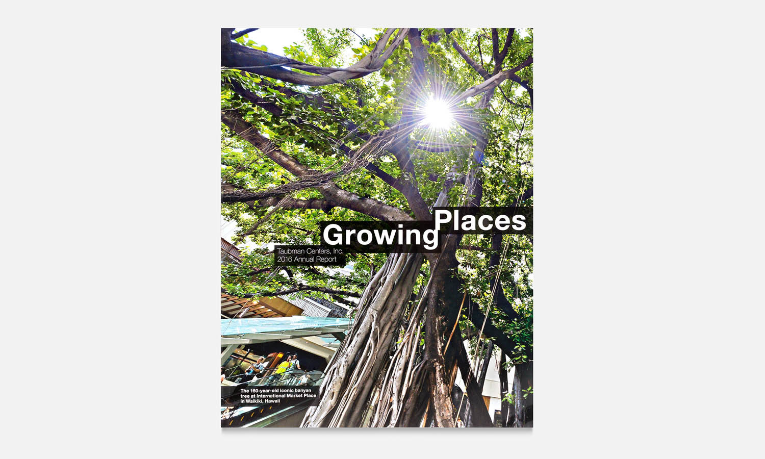 Multiple Inc, Taubman, 2016 Annual Report