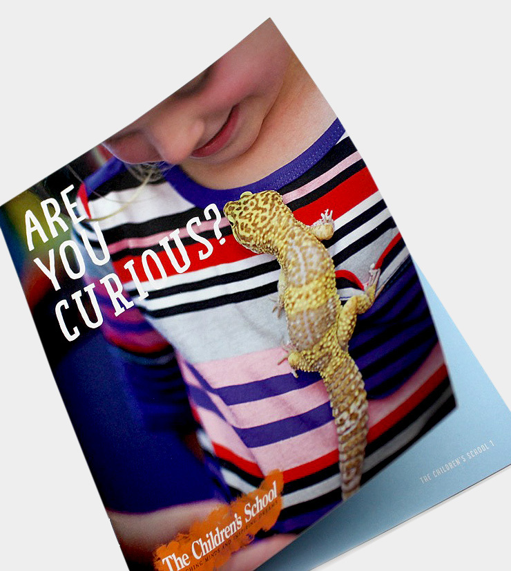 Multiple Inc, The Children's School