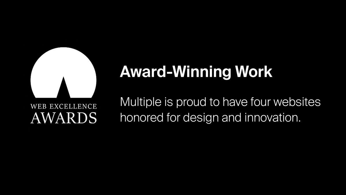 Multipleinc web excellence 2025